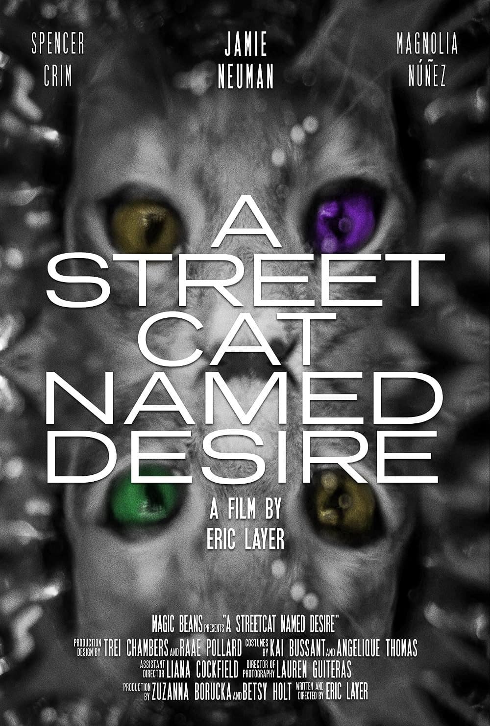A street Cat Named Desire