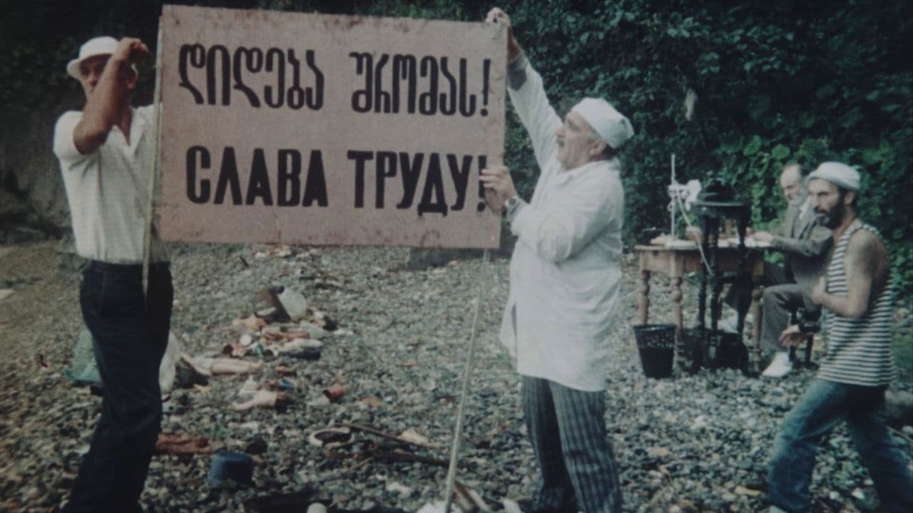 Swallows and Sparrows