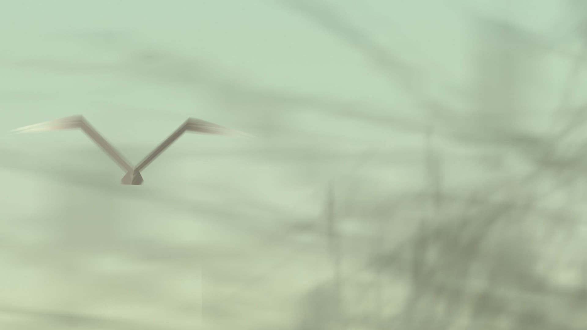 The Analogy of Space