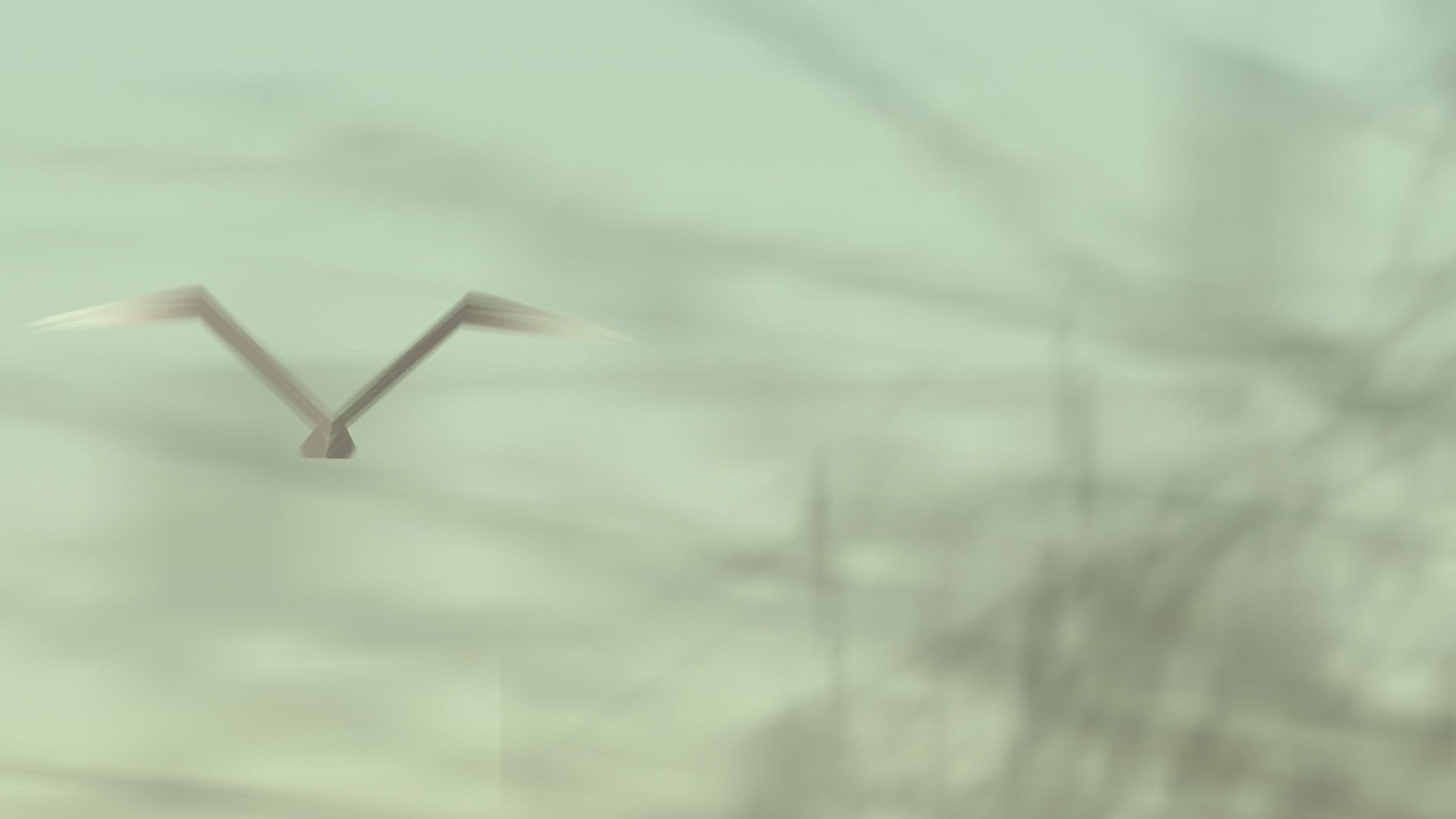 The Analogy of Space