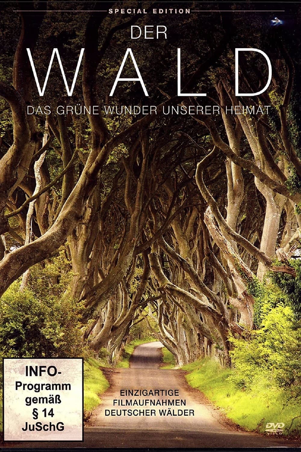 Der Wald - Das gruene Wunder unserer Heimat