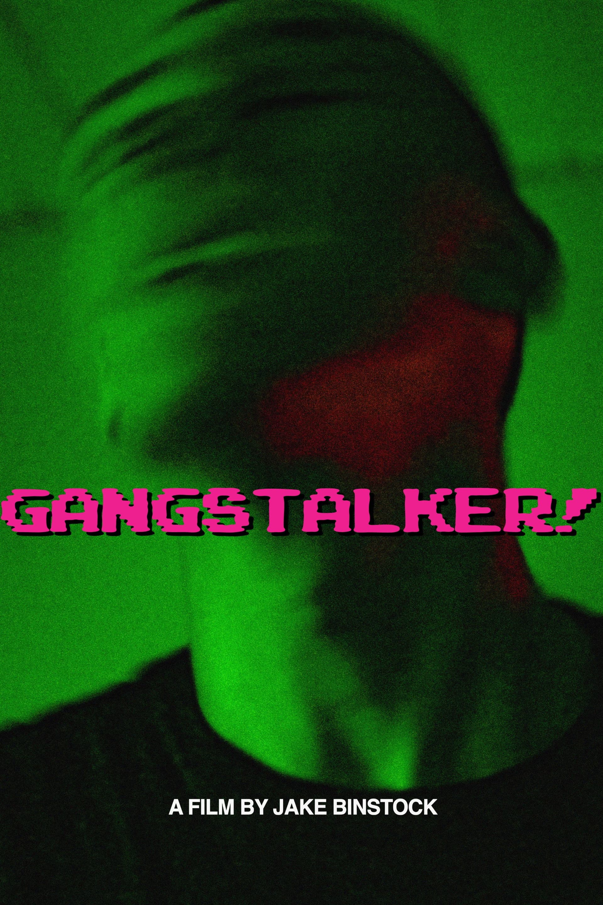 GANGSTALKER!