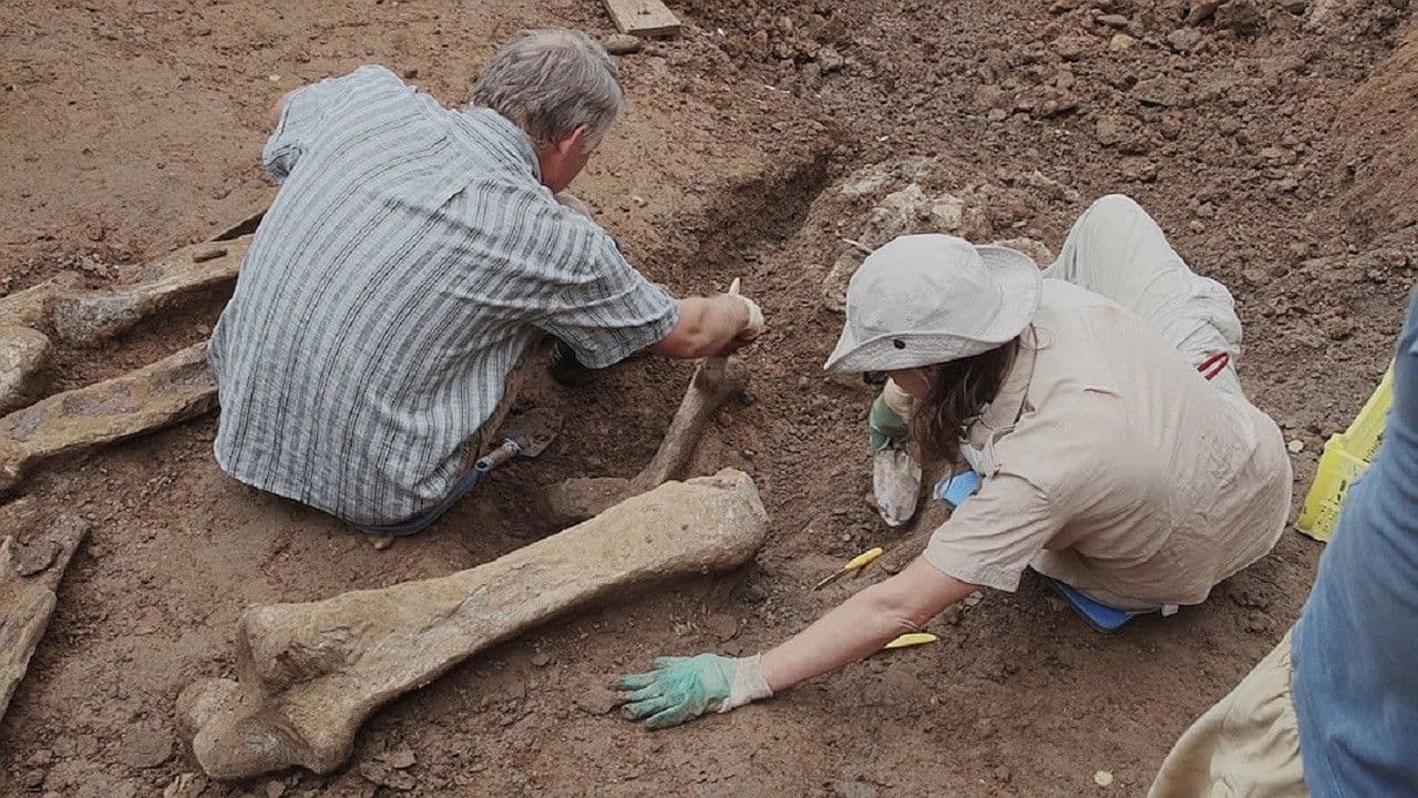 Perm Antiquities. The Elephant of Okhansk