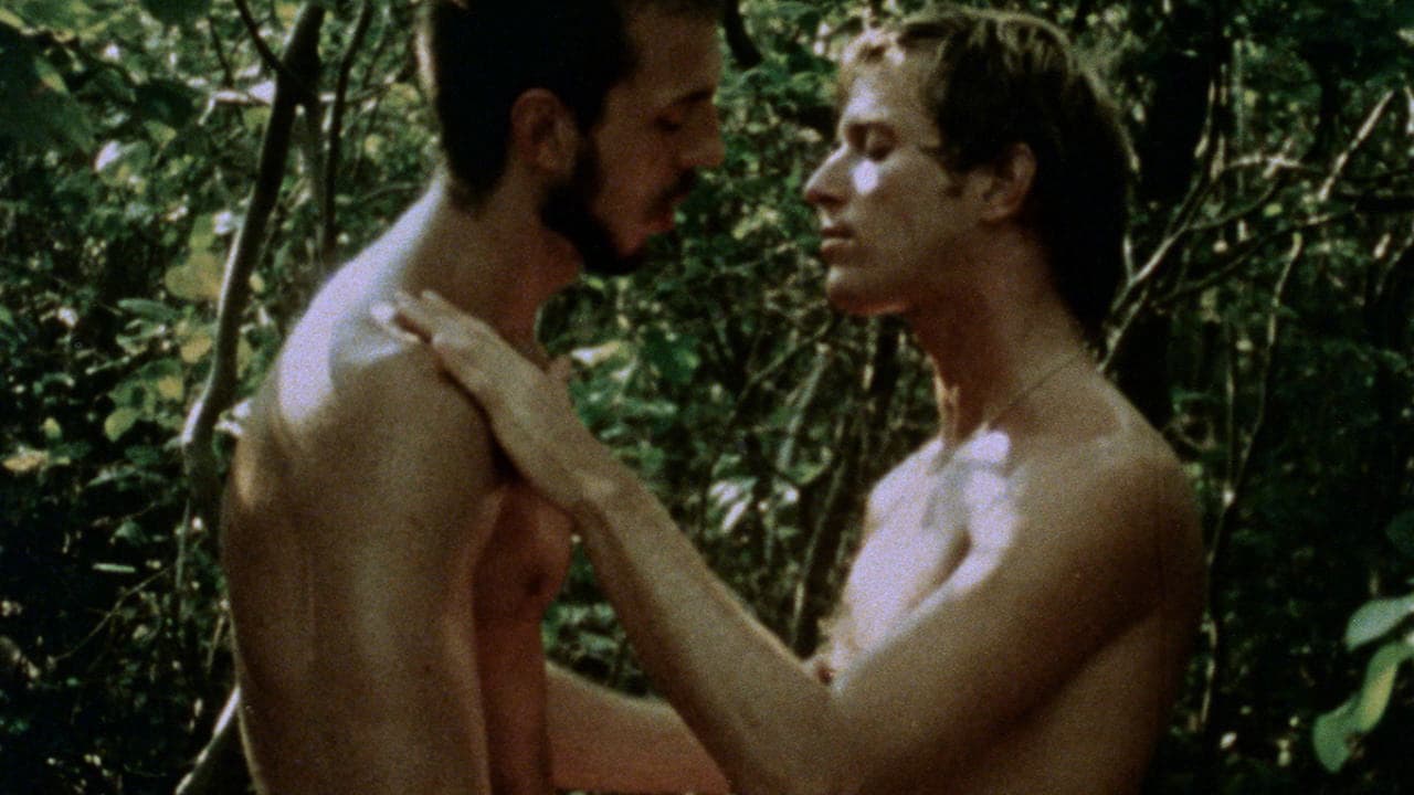 Boys in the Sand Collection