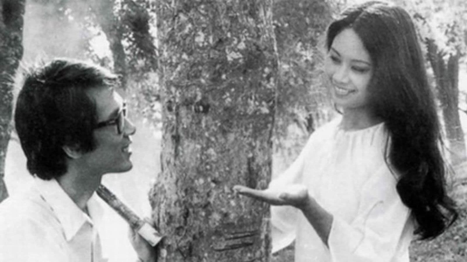 The Town Within Reach