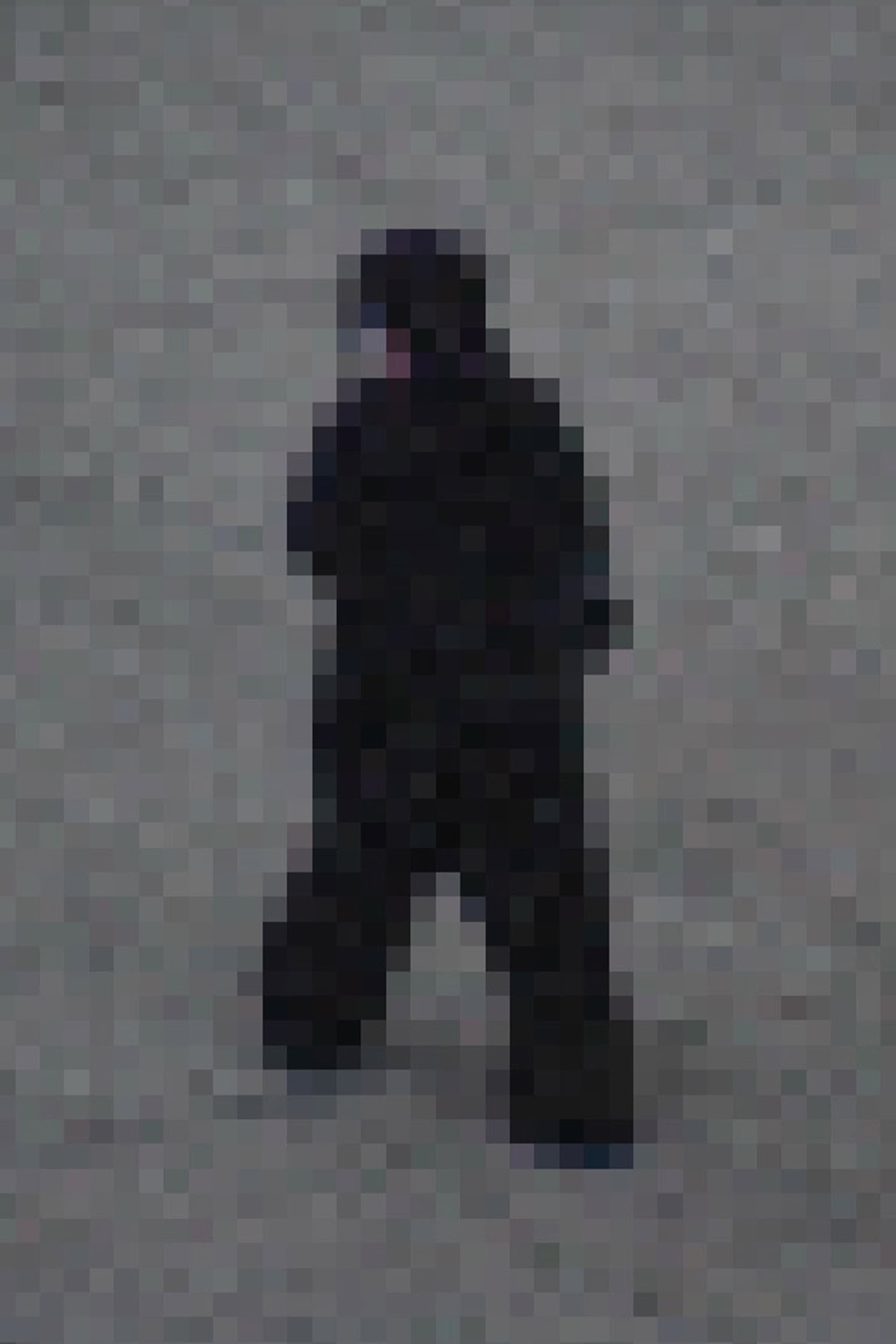 Gorilla Gorilla