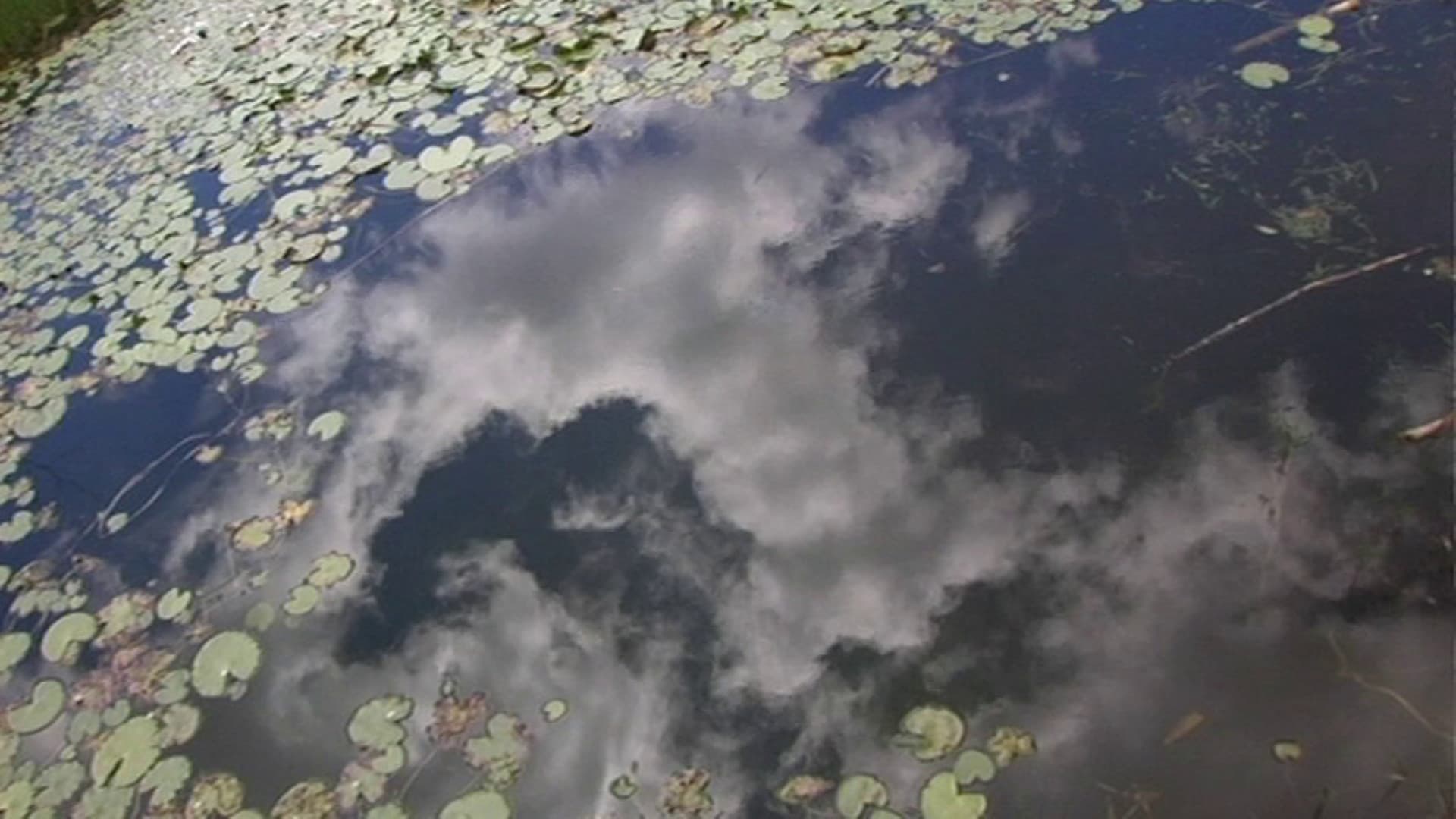 A Day of the GOD Island