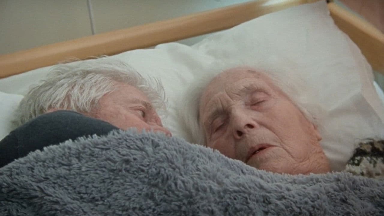 The Ground Beneath Our Feet