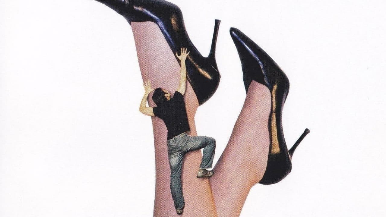 Les Amazones : 3 ans après…