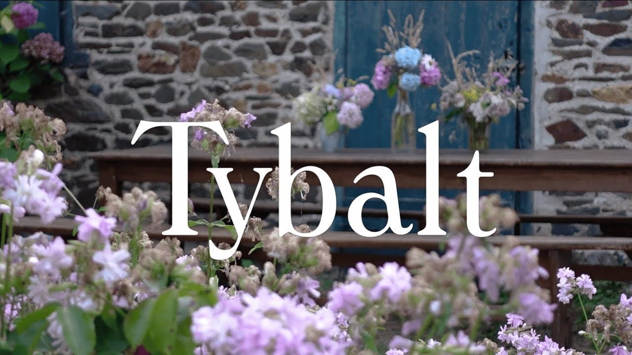 TYBALT