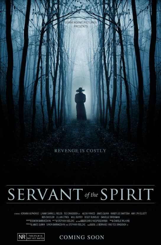Servant of the Spirit