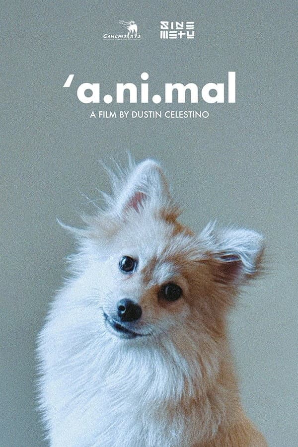 'a.ni.mal