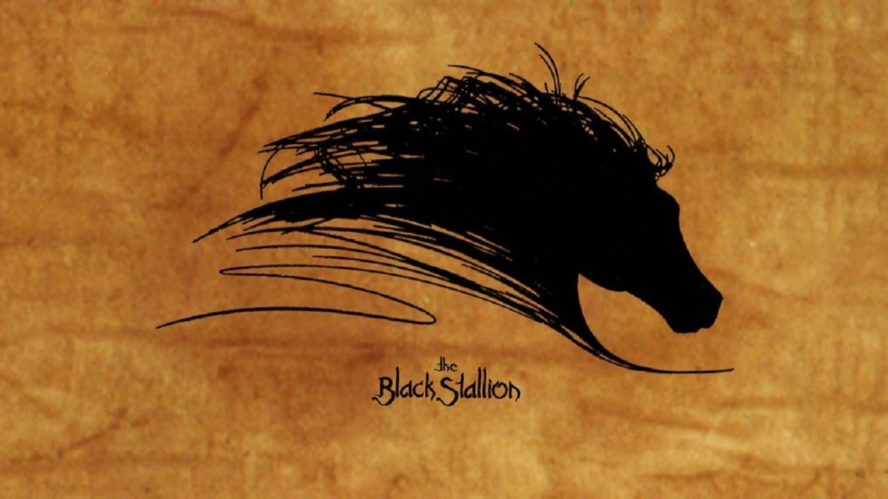 The Black Stallion Collection