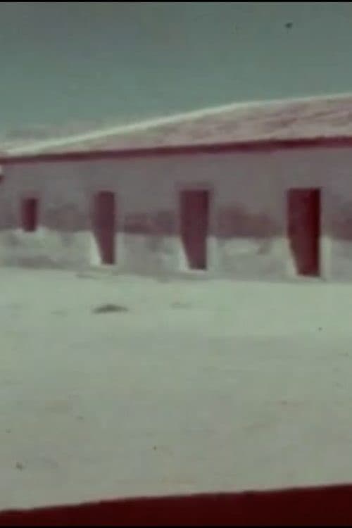 A Flor do Lácio é vadia