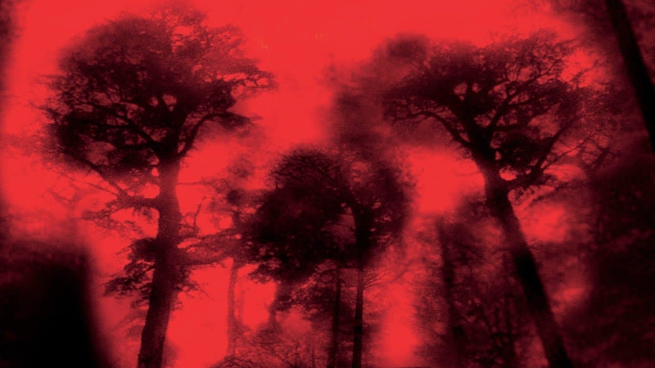 Cabin Fever Collection