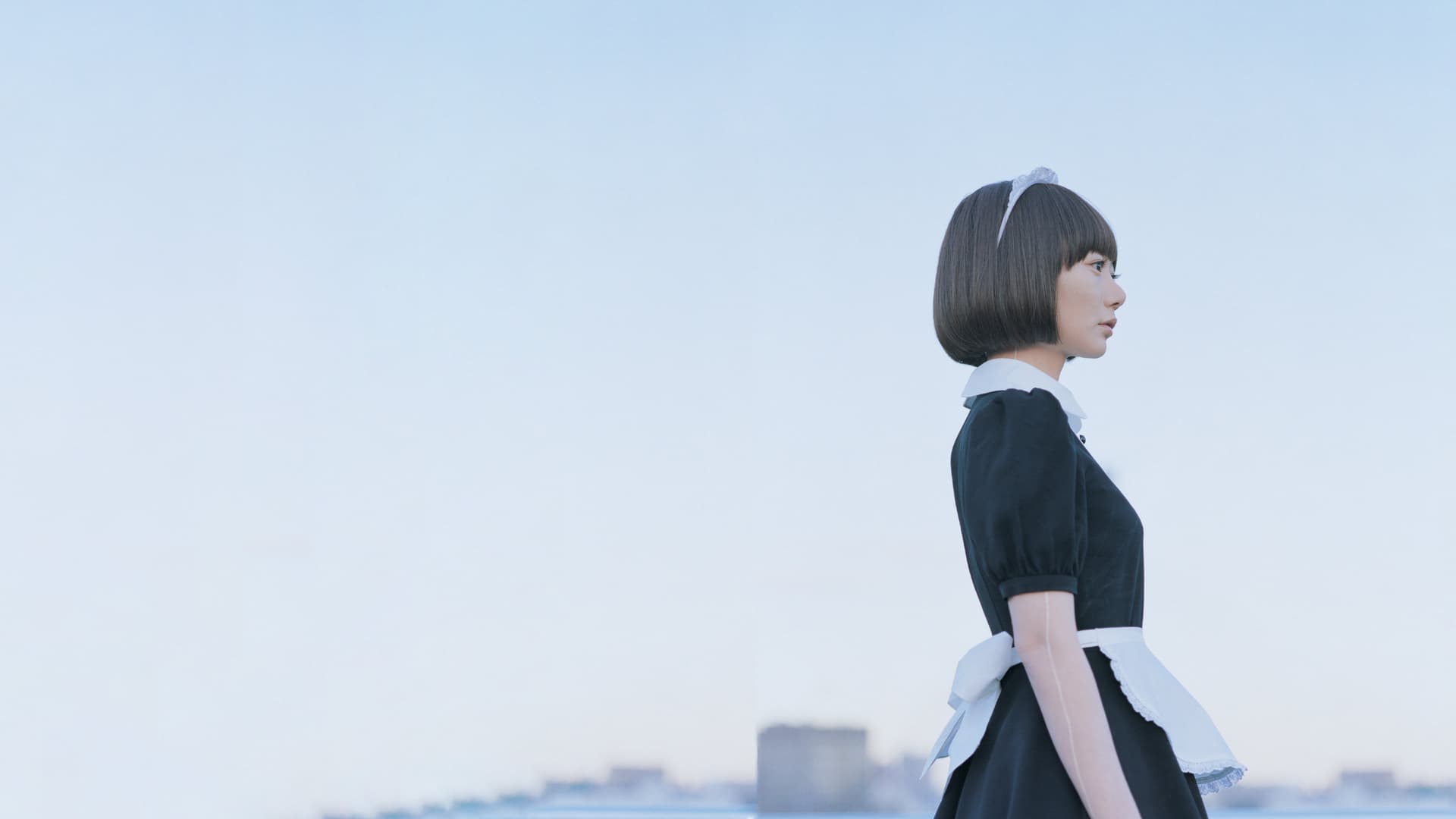 Air Doll