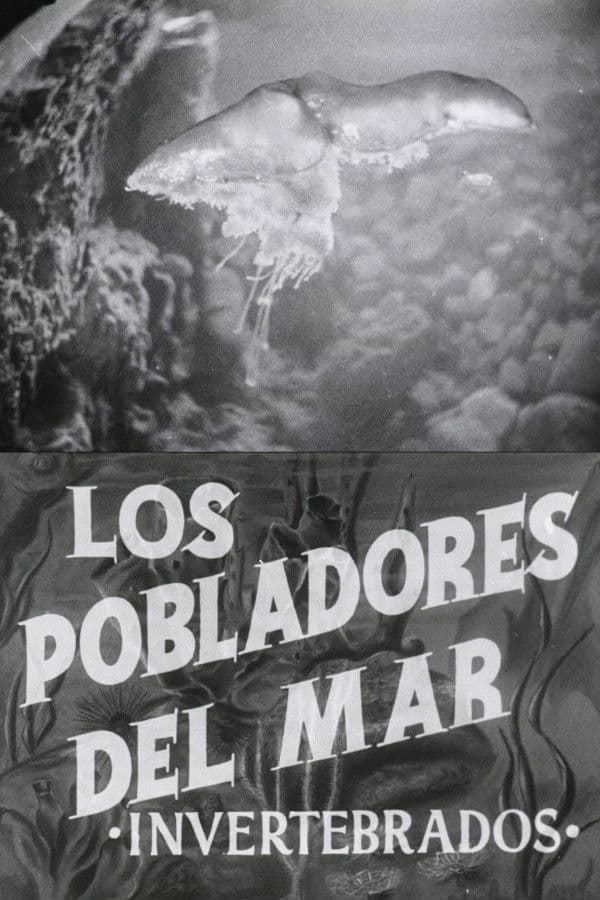 Pobladores del mar: Los invertebrados