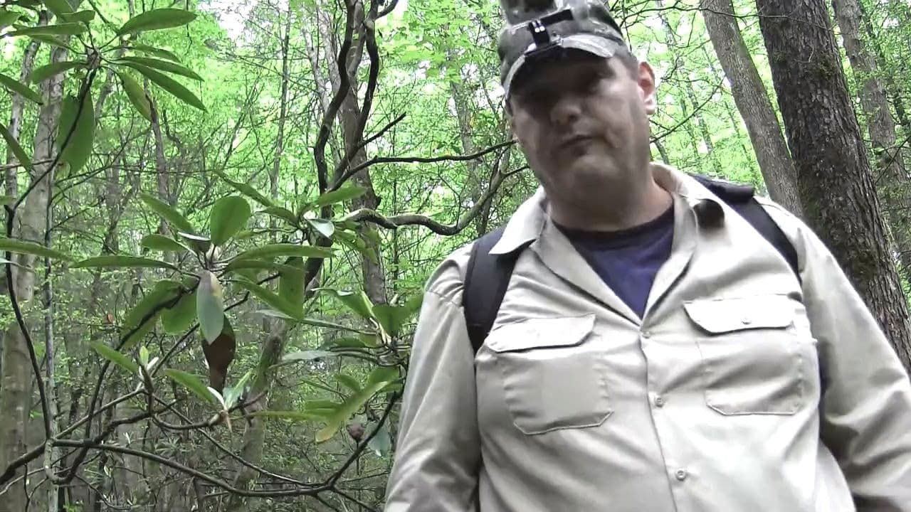 Bigfoot Still Tracking a Legend