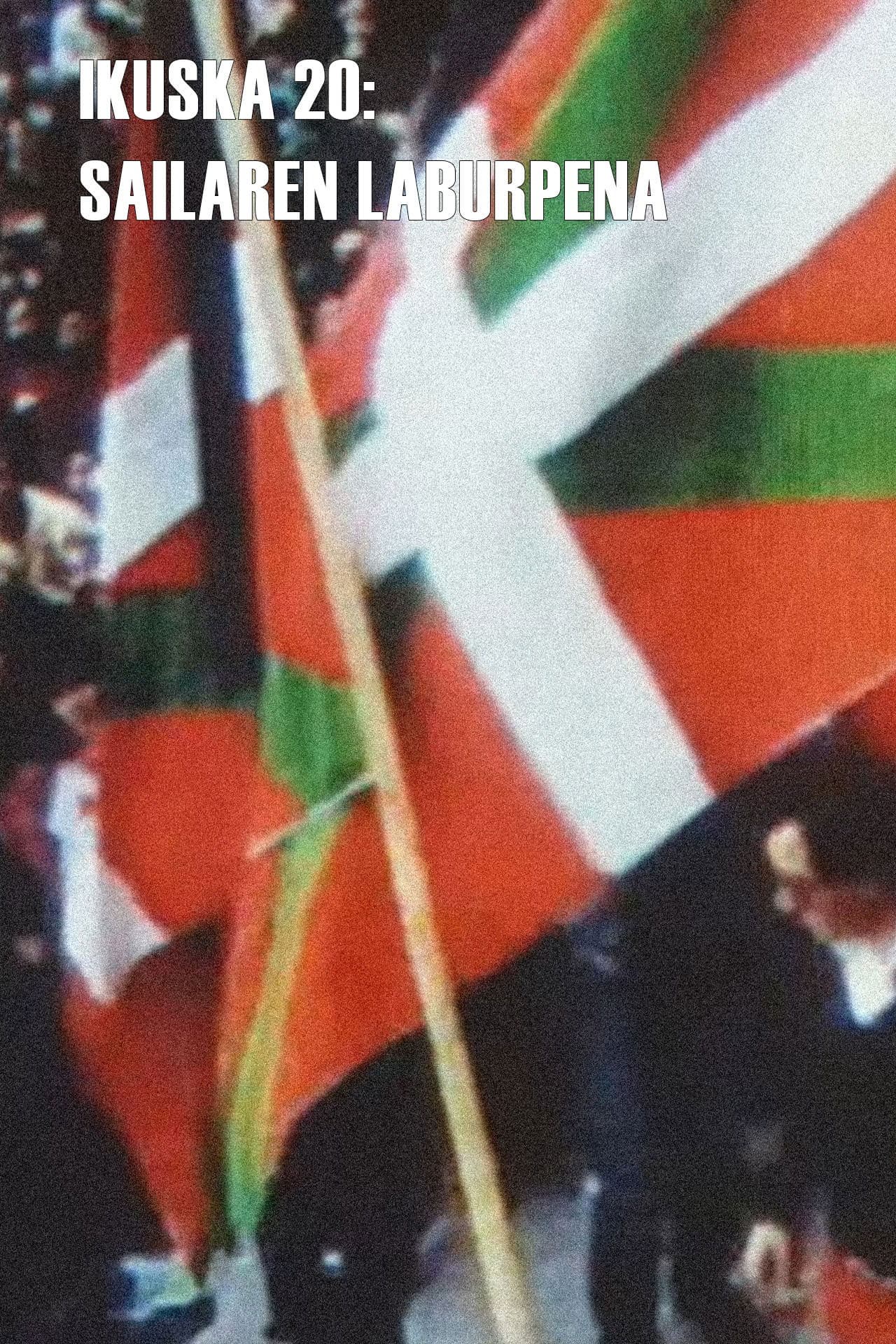 Ikuska 20: Sailaren laburpena