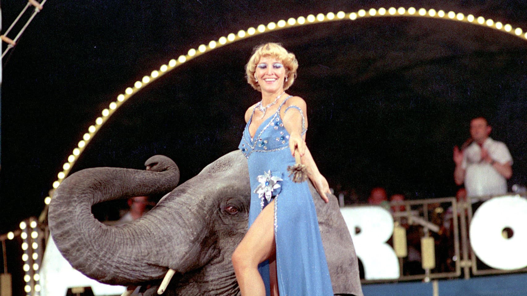 Cirkus na zelené louce