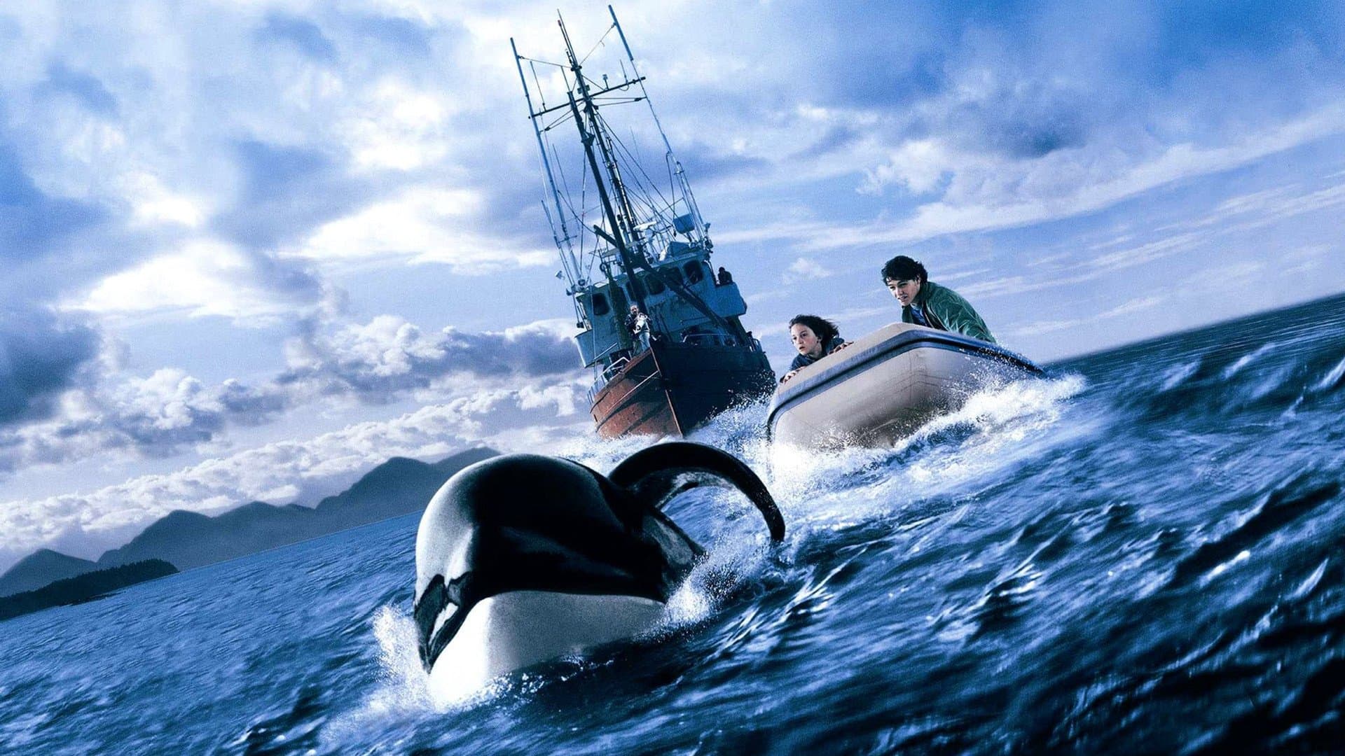 Free Willy Collection