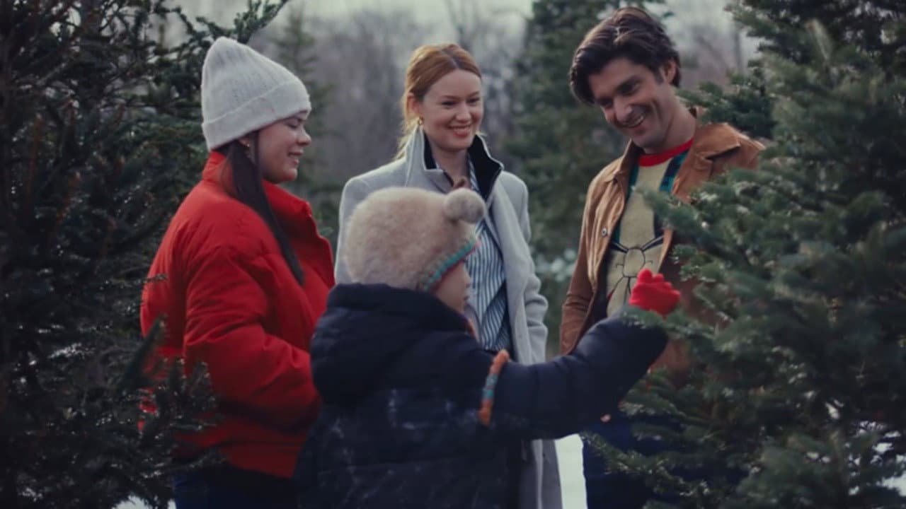 An Unexpected Christmas Plan