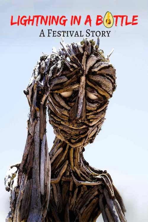 Lightning in a Bottle: A festival Story