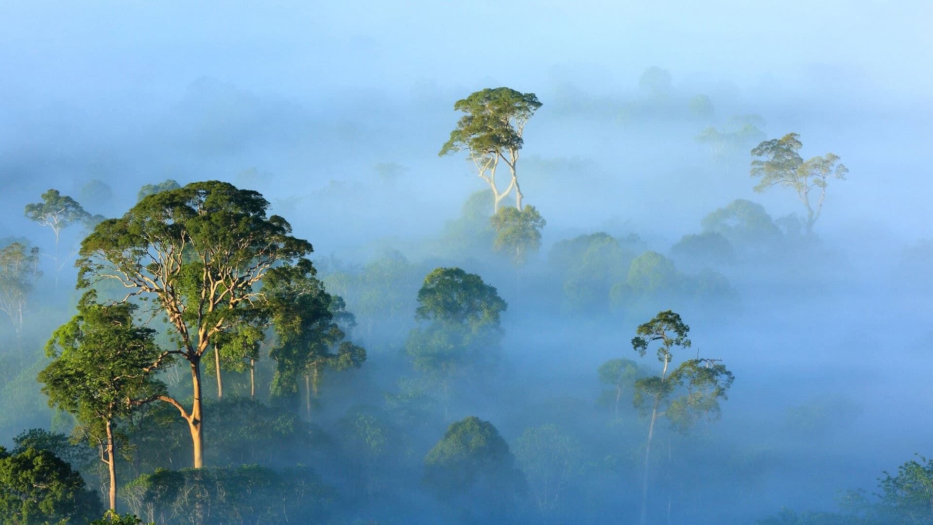 The View From on High