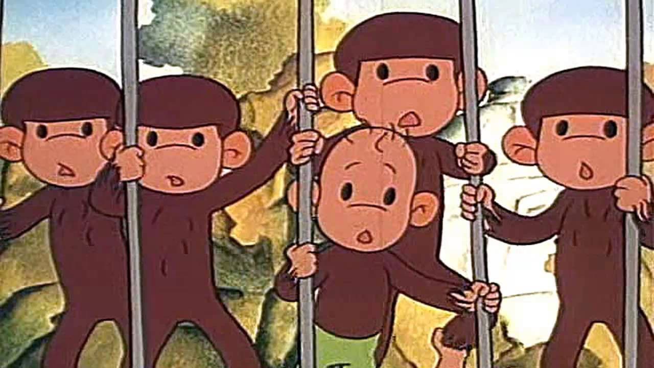 Monkeys and the Robbers