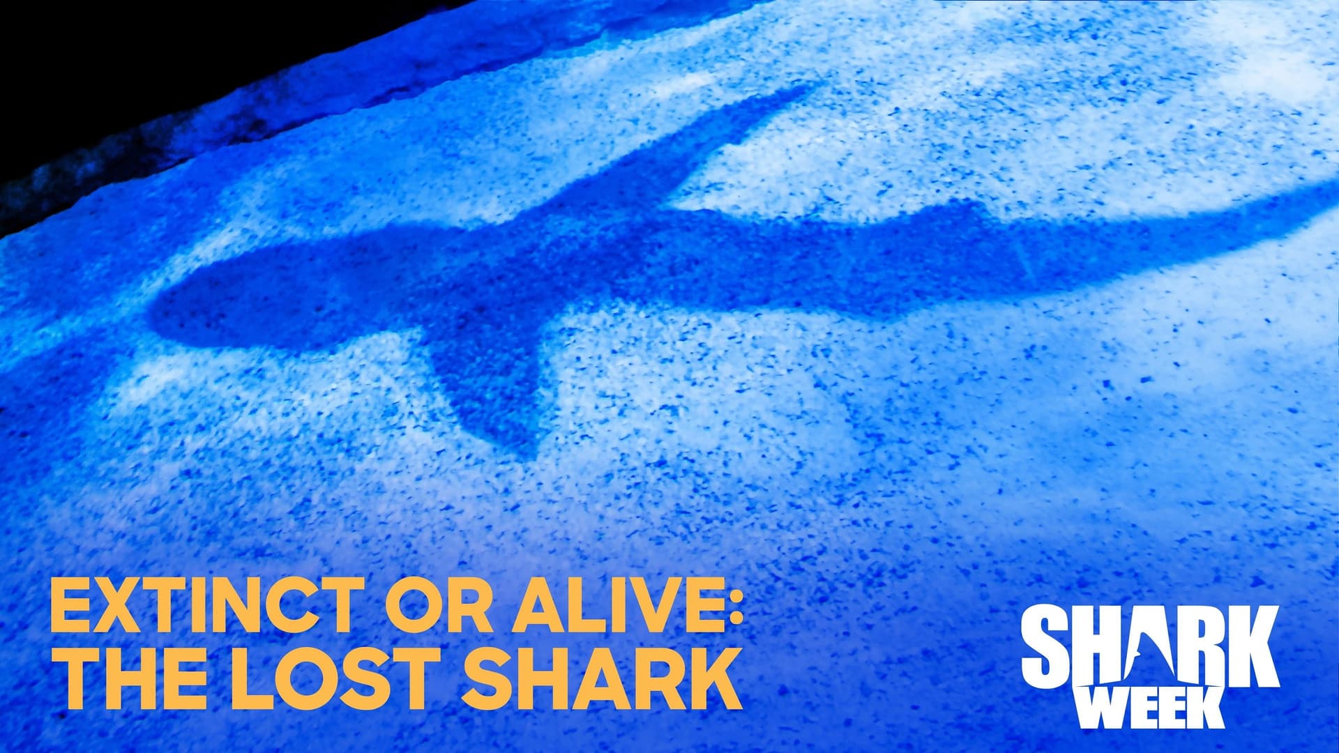 Extinct or Alive: The Lost Shark