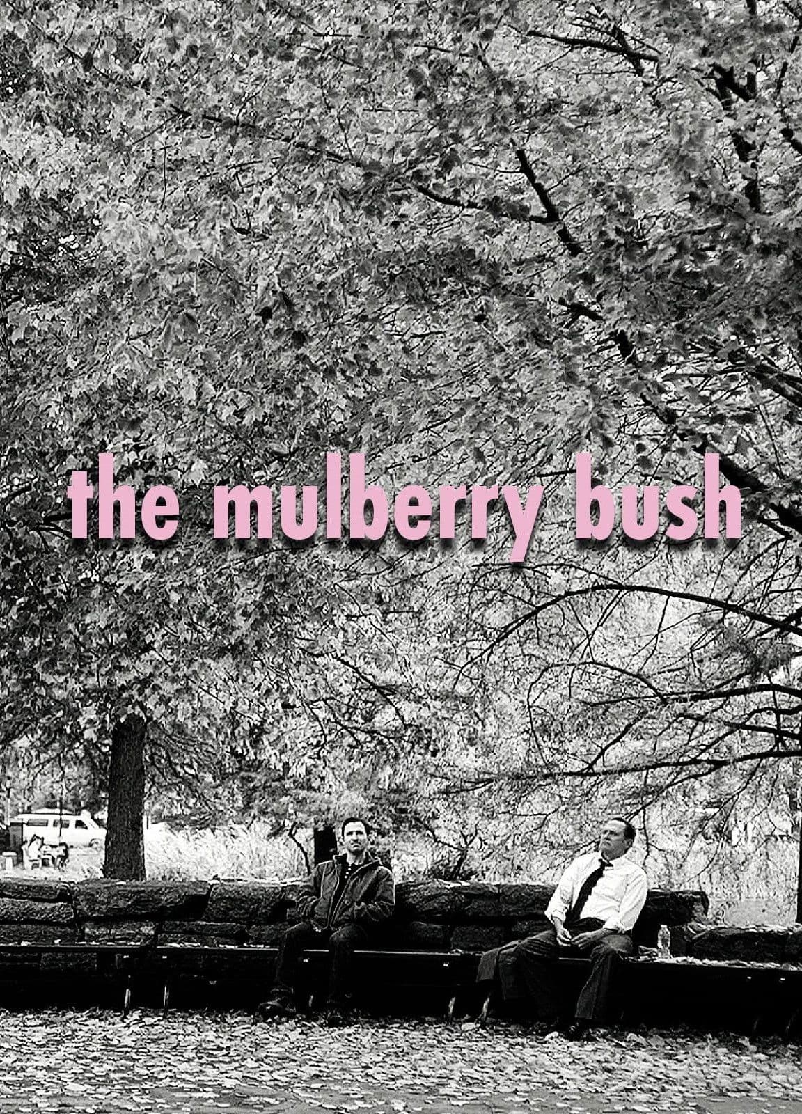The Mulberry Bush