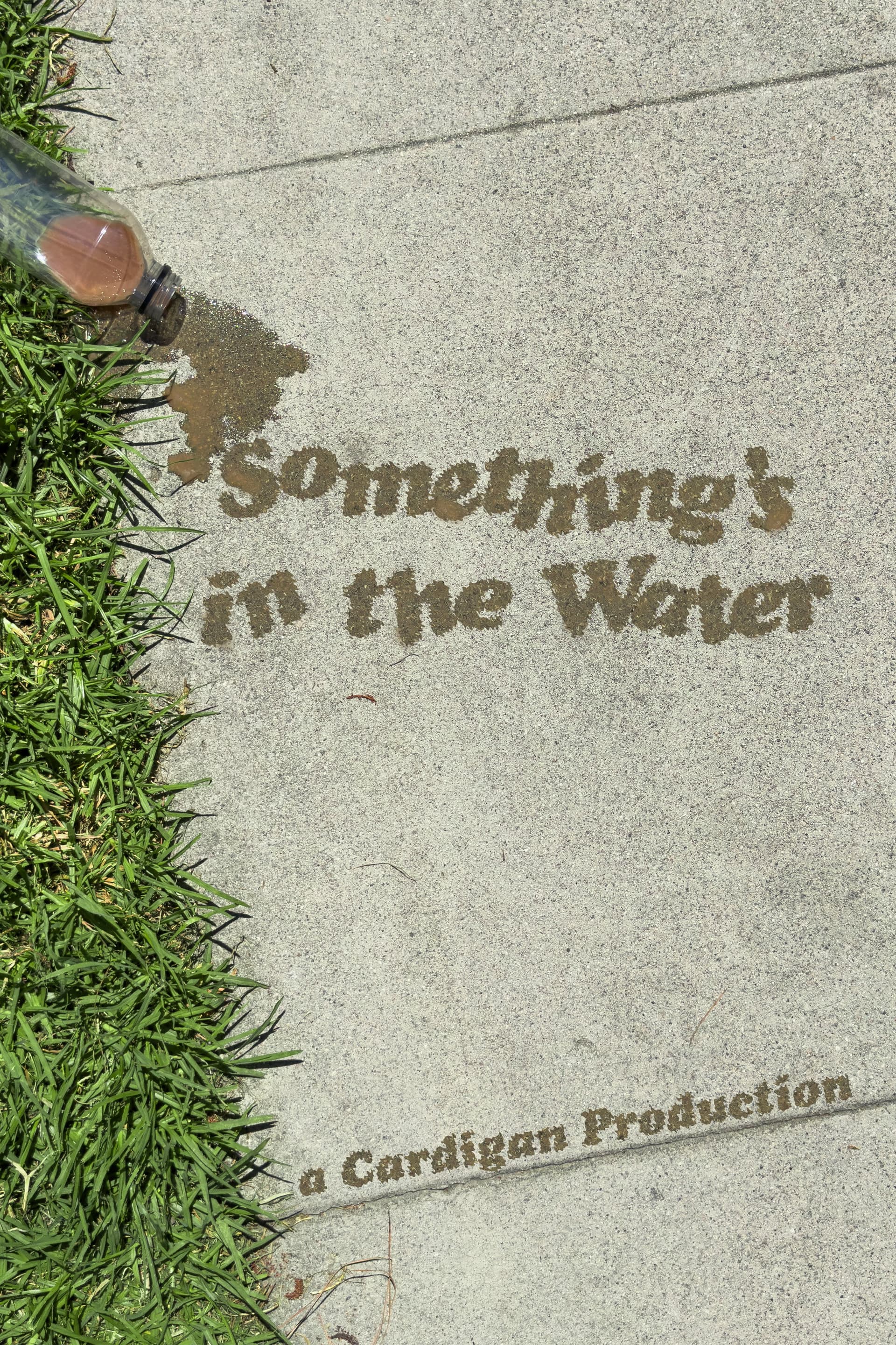Something's in the Water