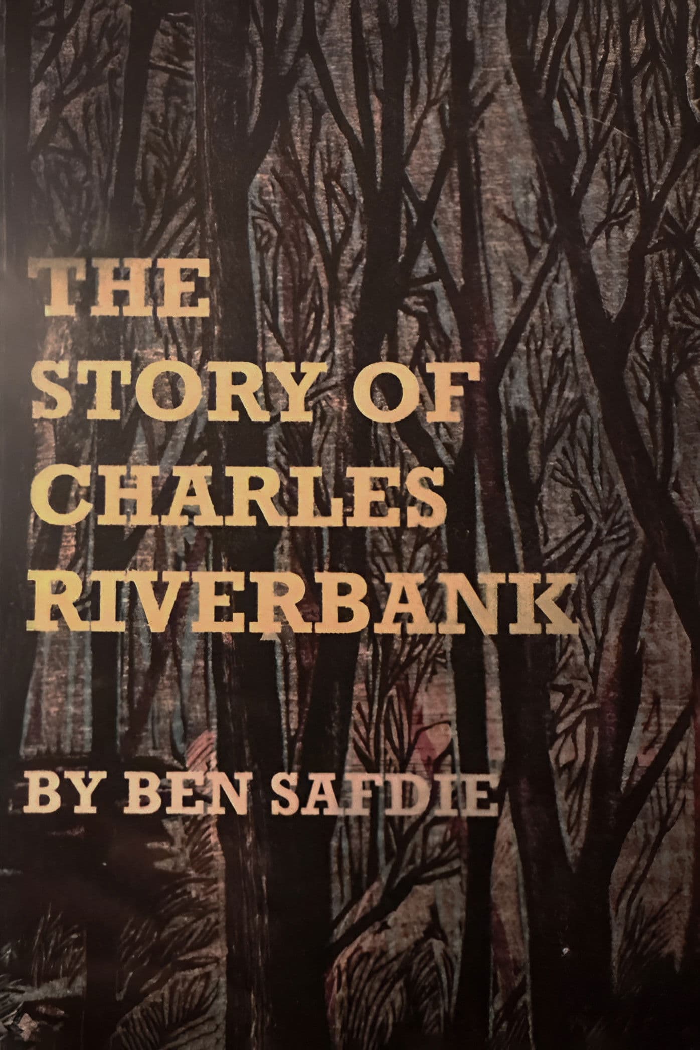 The Story of Charles Riverbank
