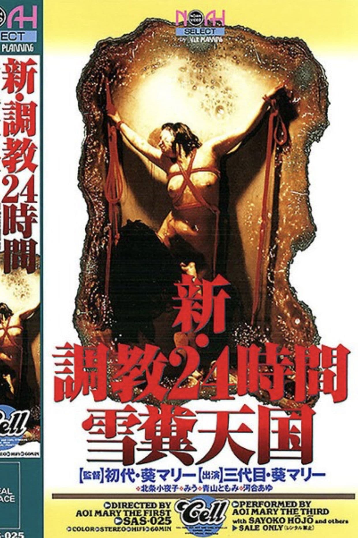 新・調教24時間 雪糞天国