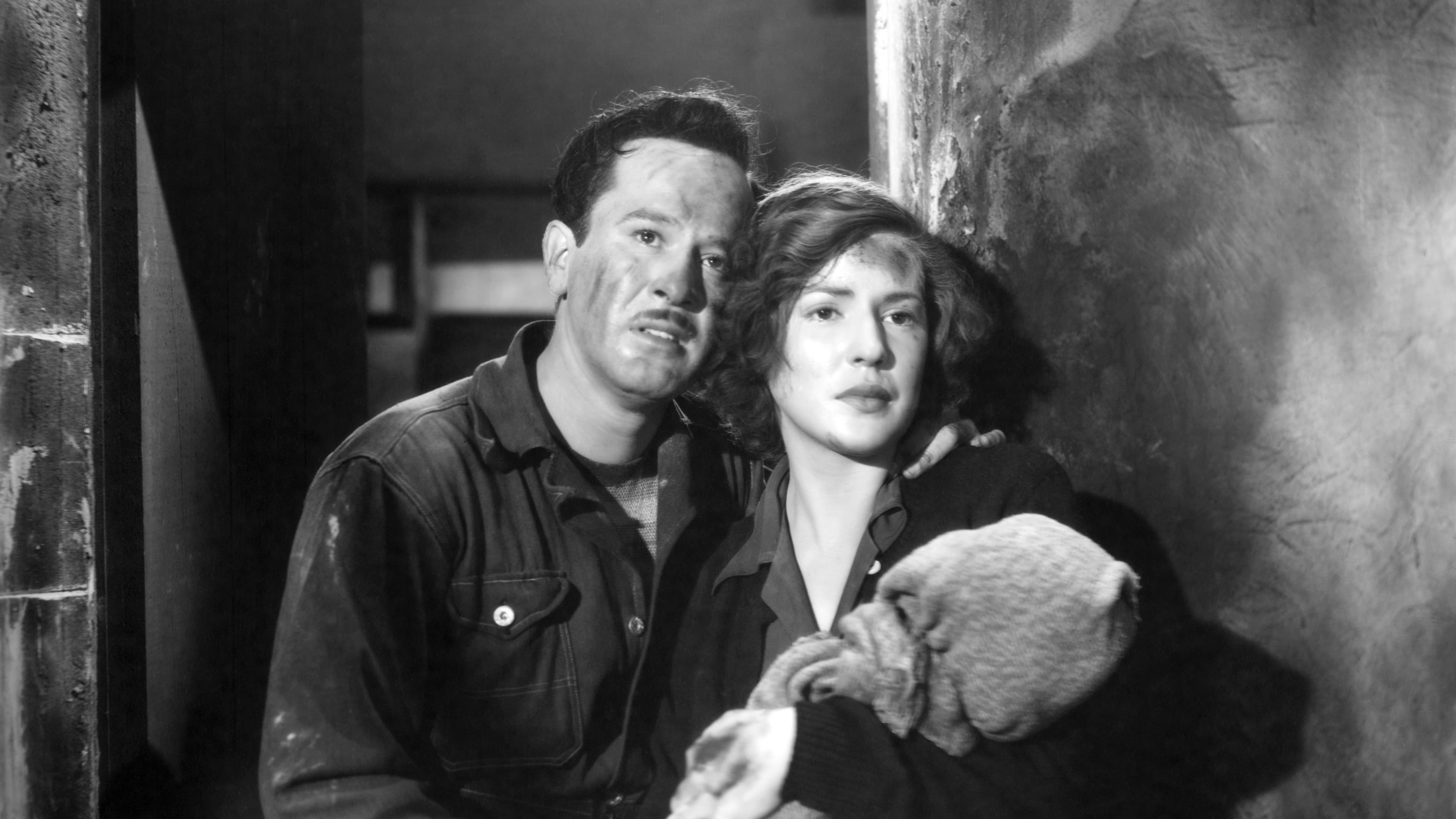 Pepe El Toro - Colección