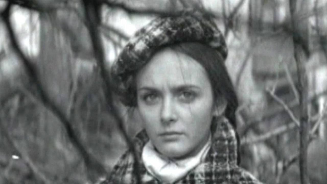 No One in Your Place