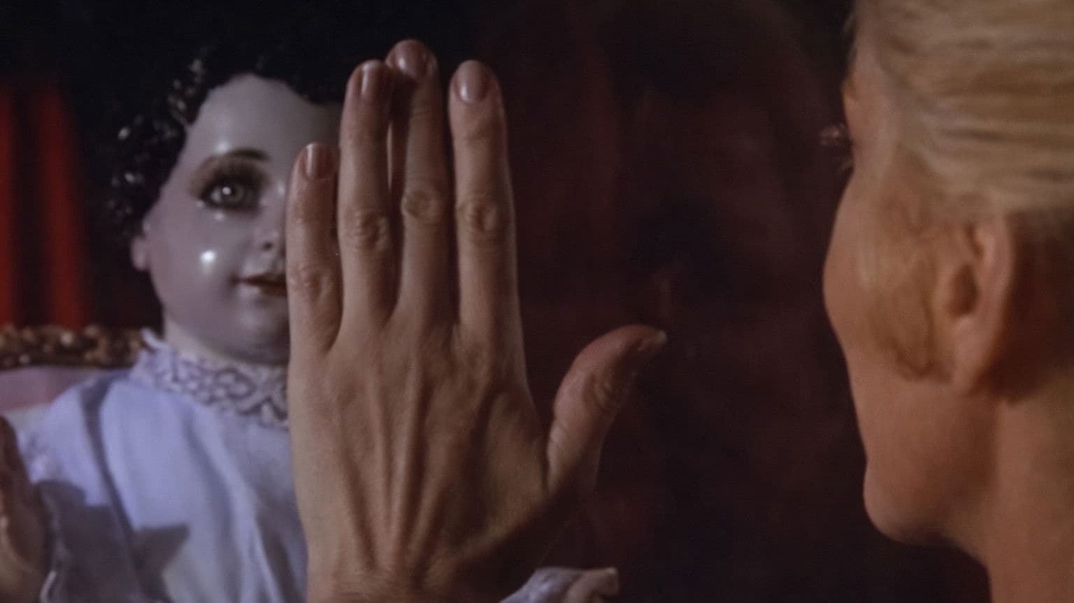 The Dried Butterflies