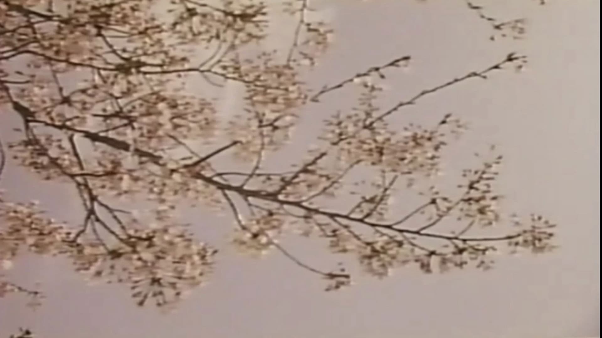 Wakaoku-sama: Futomono-biraki