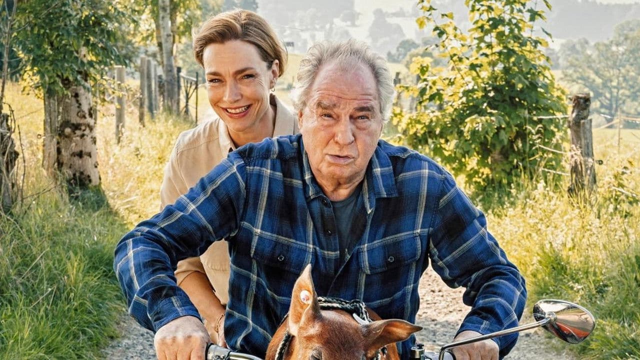 Zimmer mit Stall - Schwein gehabt