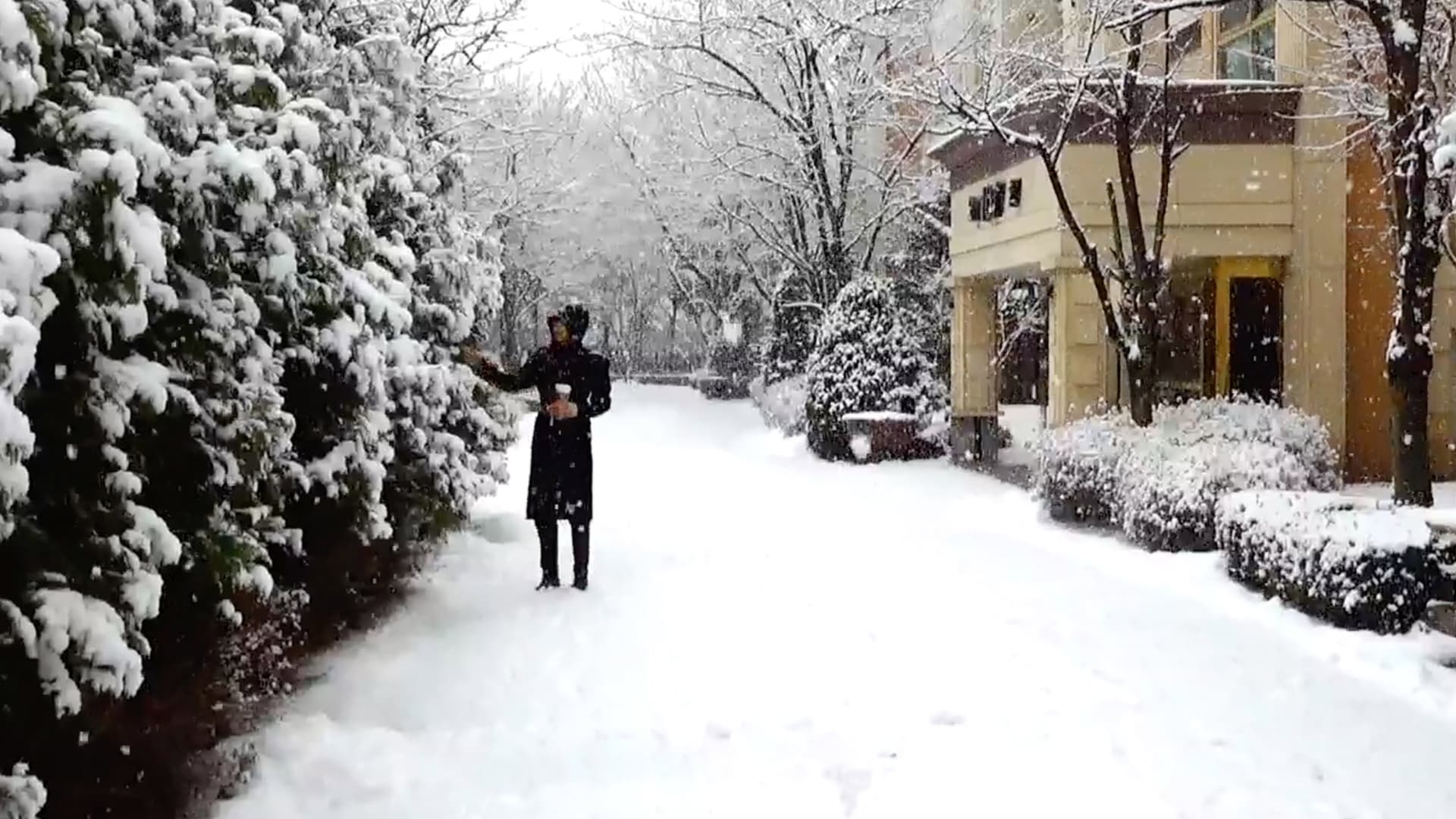 It Snows on You
