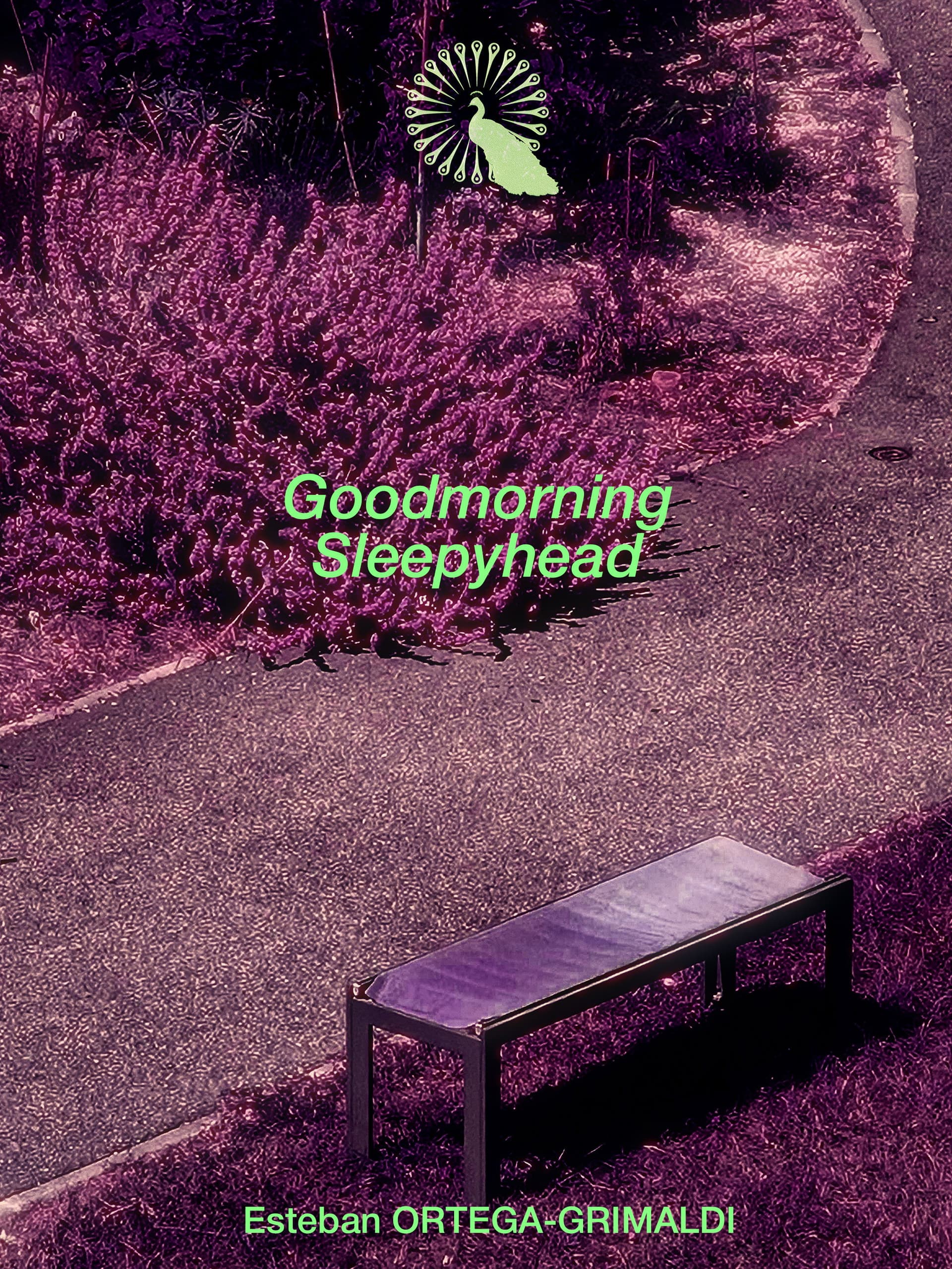 Goodmorning Sleepyhead