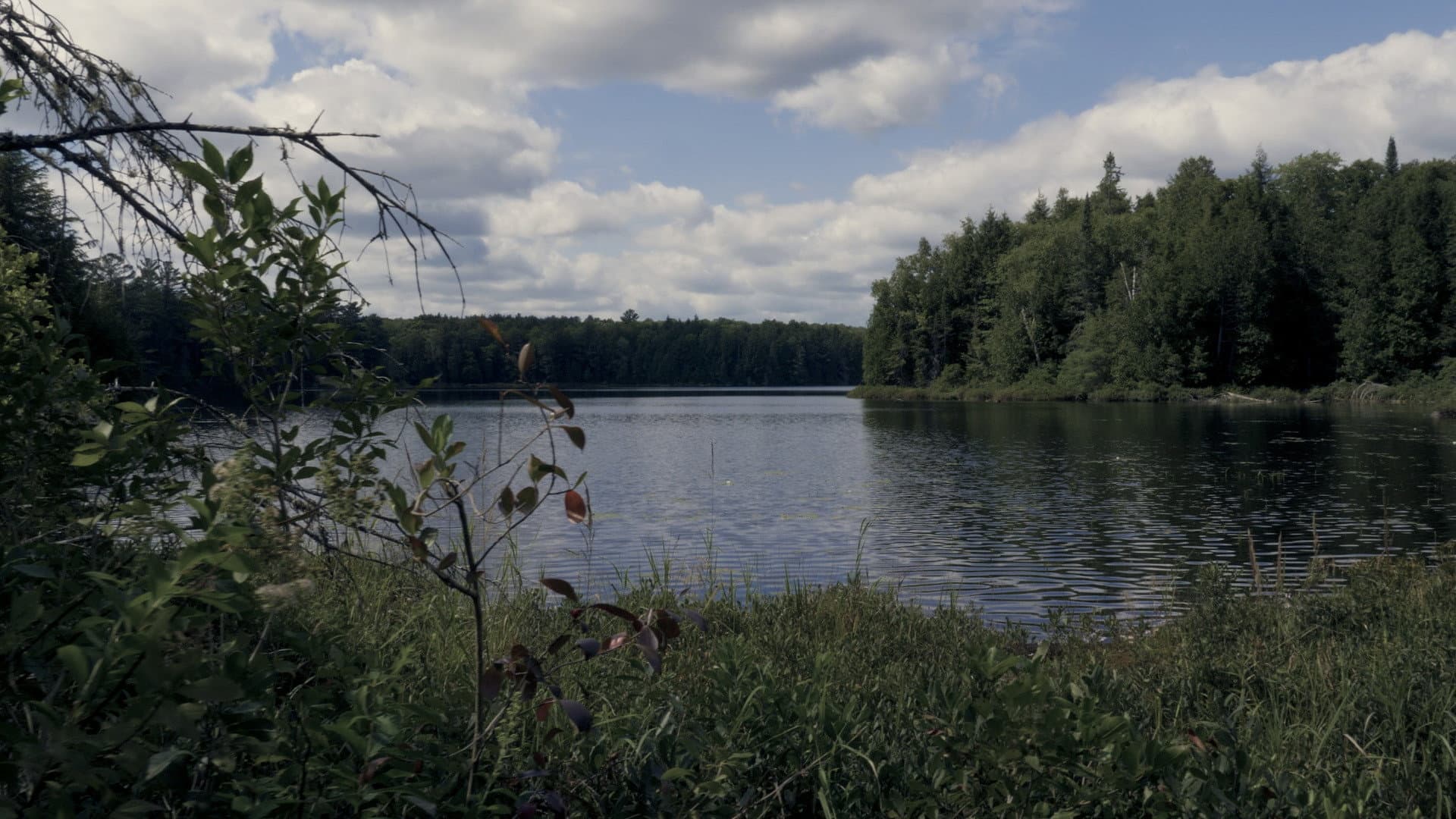 Finding Limberlost