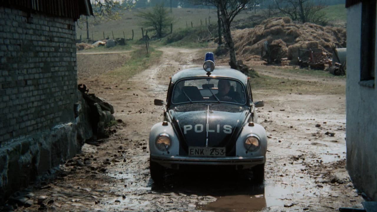 A Stranger Came by Train