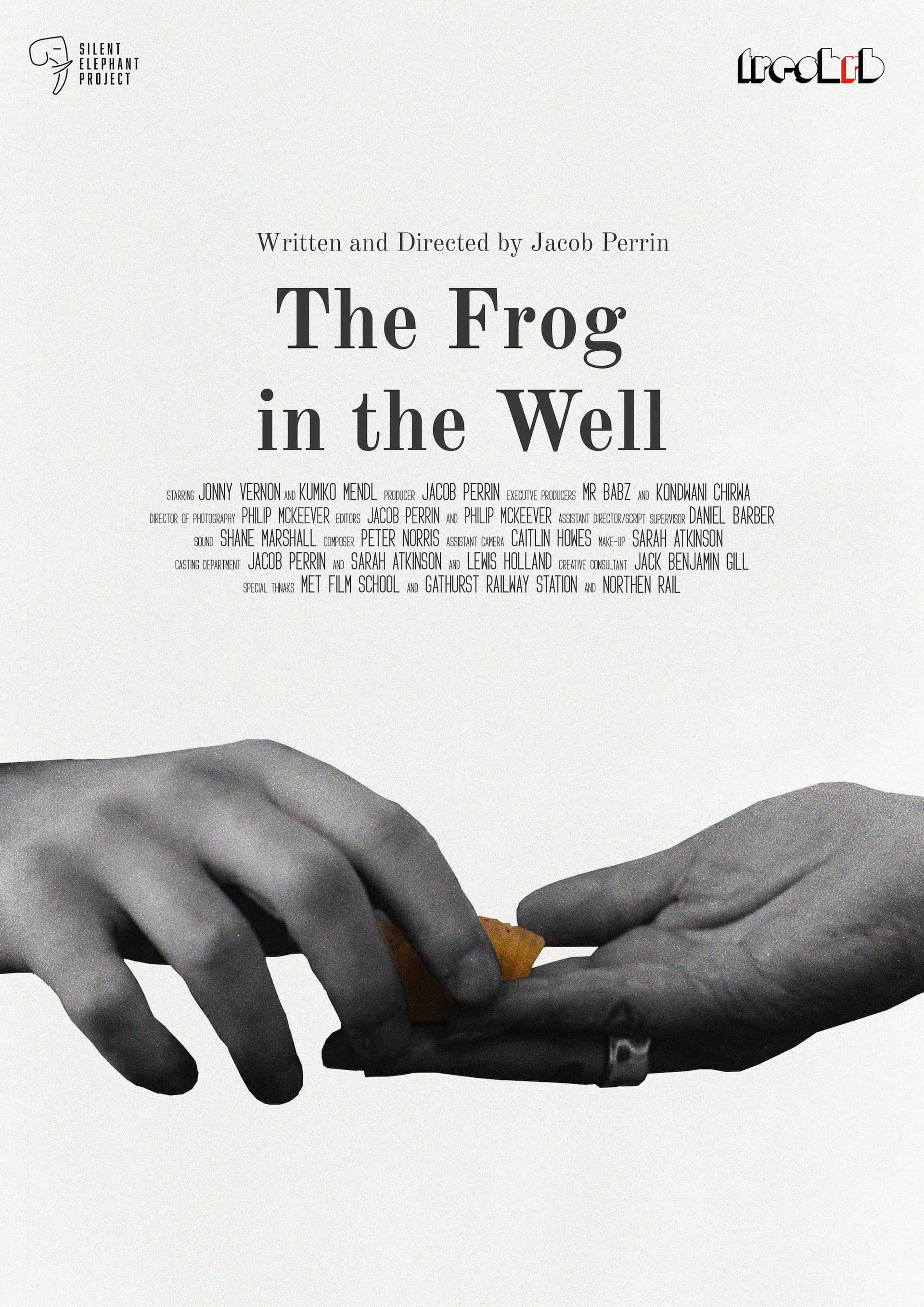 The Frog in The Well