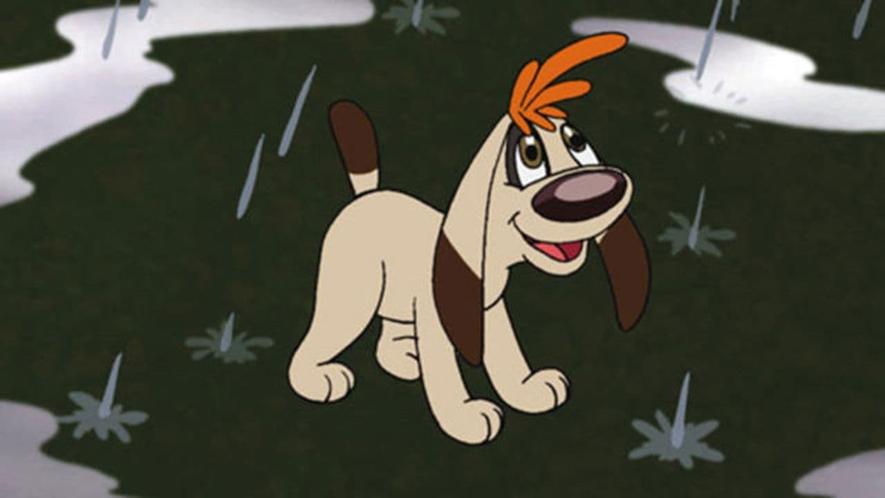 Col·lecció Rovelló