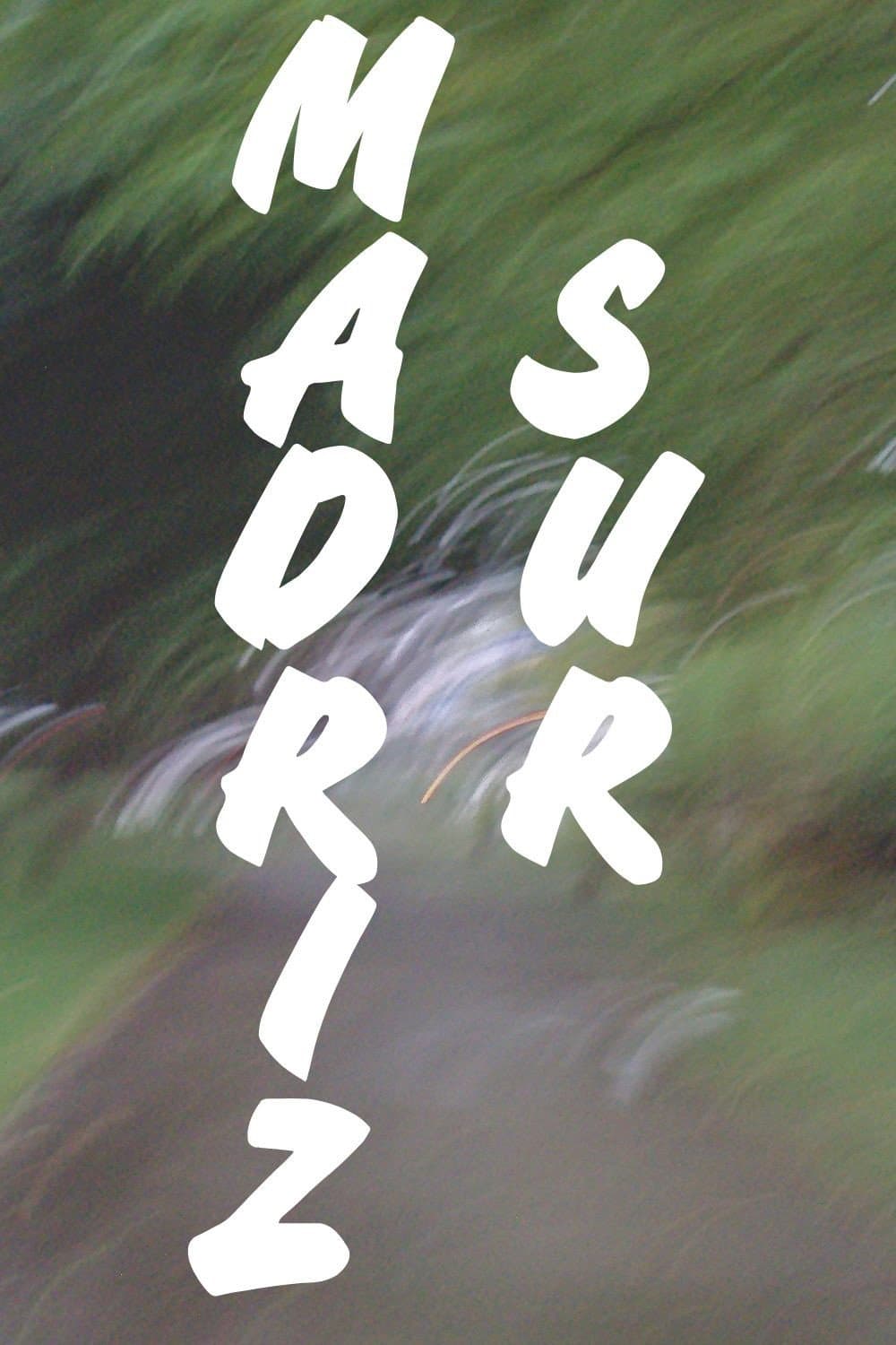 MADRIZ SUR