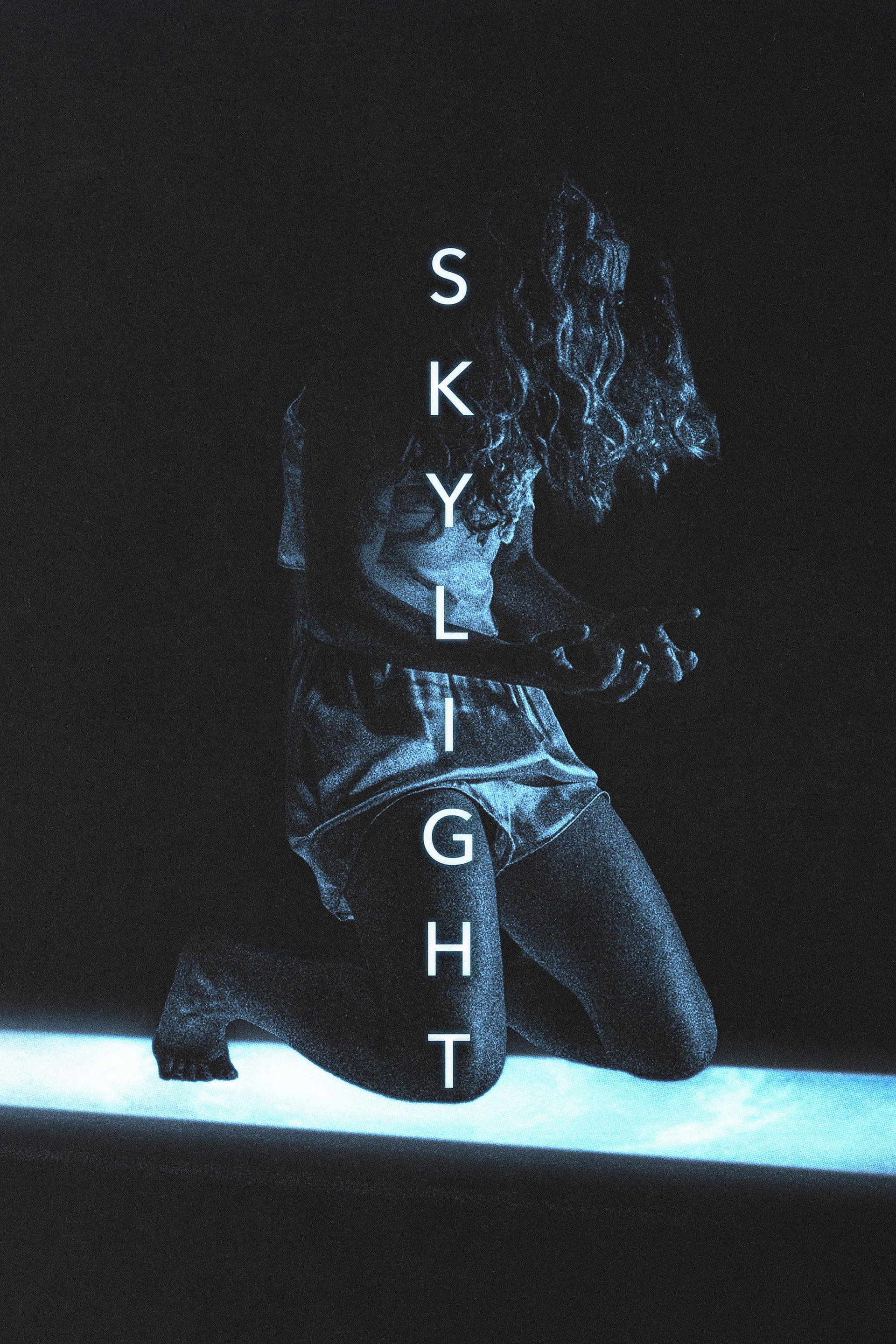 Skylight