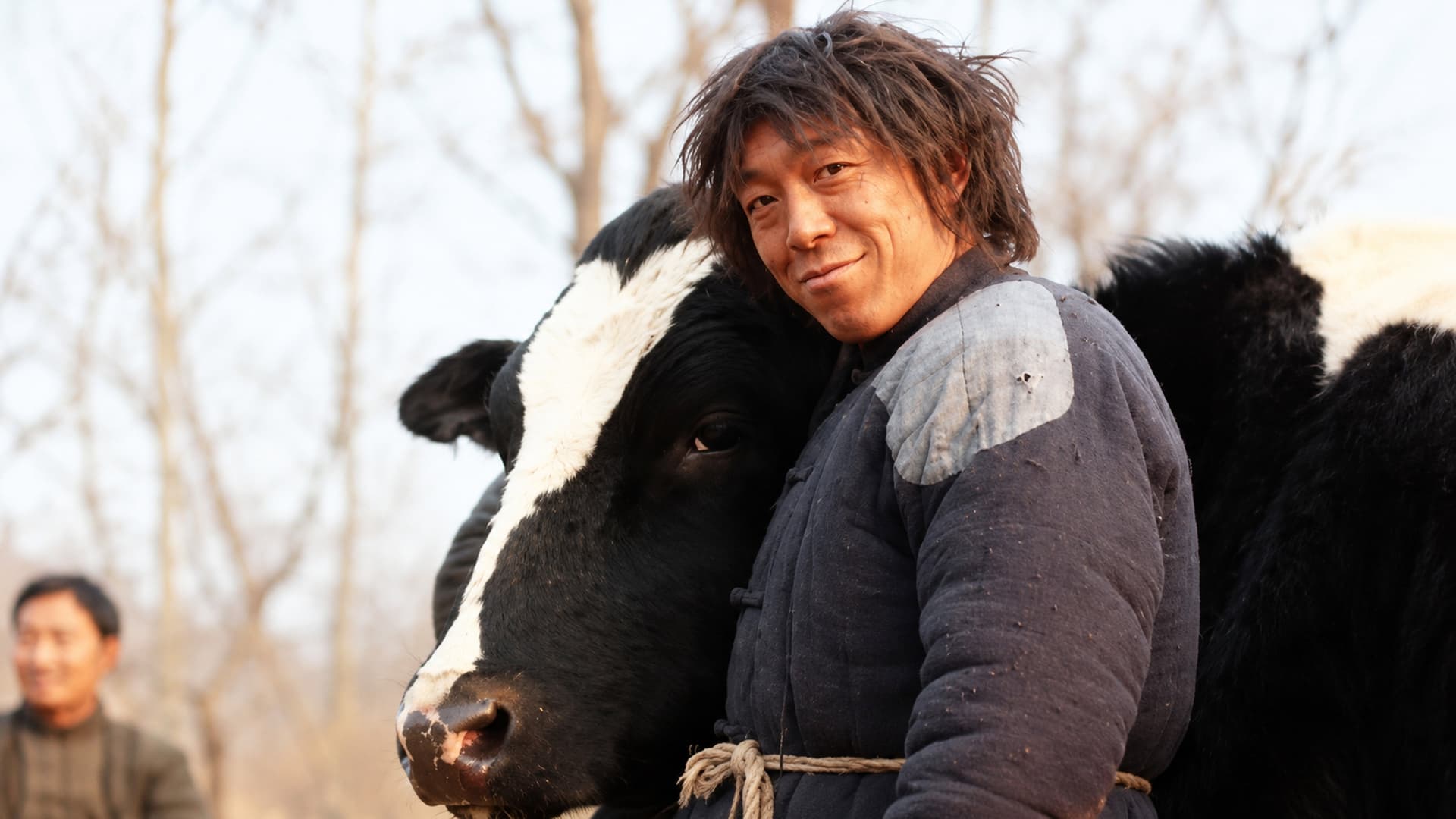 Cow