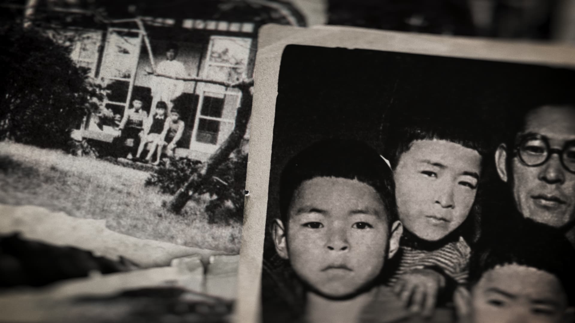 Miyazaki, Spirit of Nature