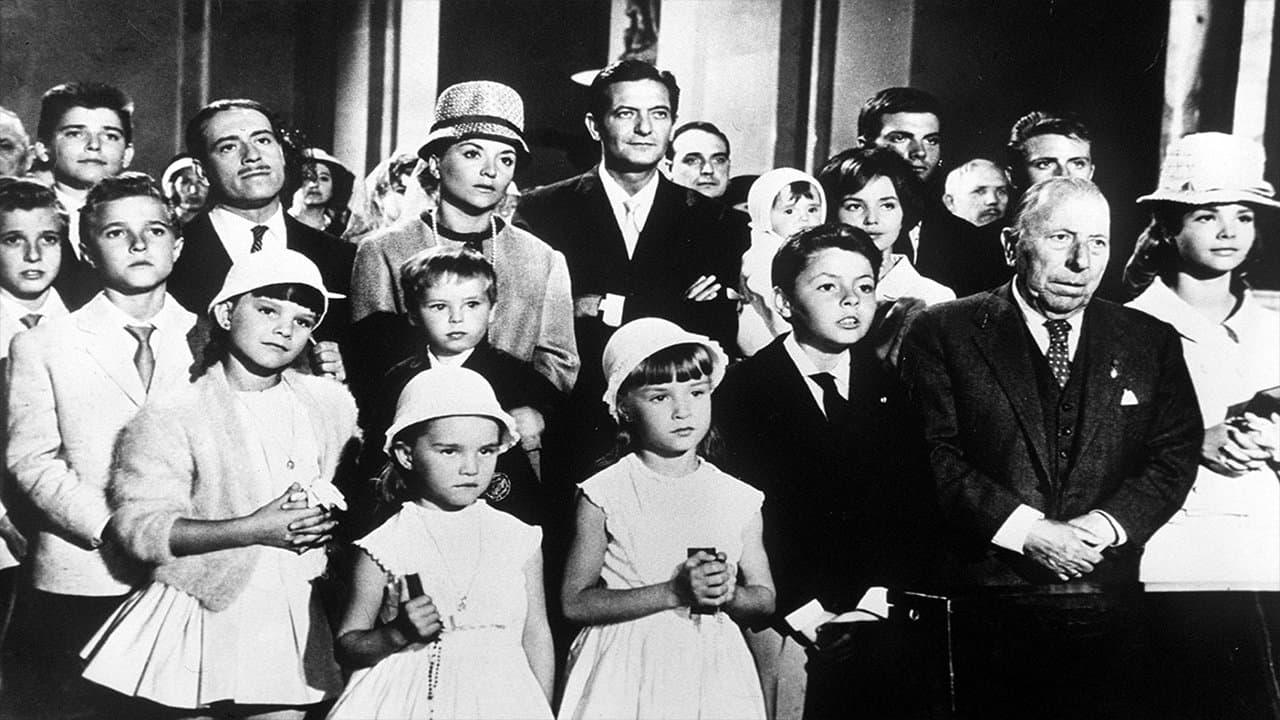 The Big Family Collection